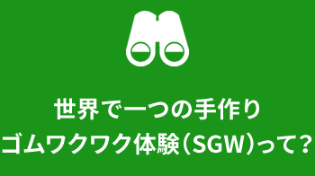 世界で一つの手作りゴムワクワク体験（SGW）って？